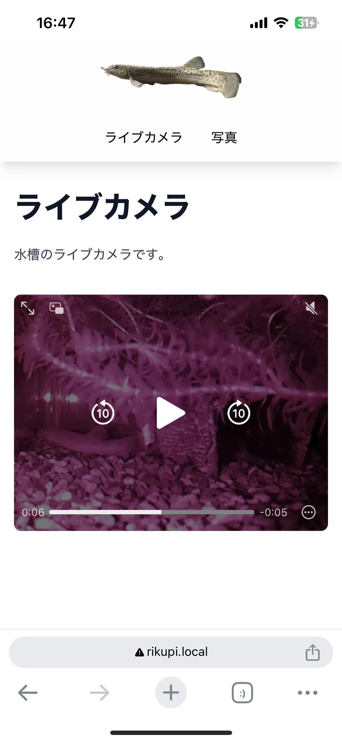 ライブカメラのスクリーンショット